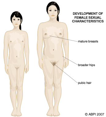 A female child and a mature woman stand side by side showing the development of female sexual characteristics. Mature breasts, broader hips and pubic hair are highlighted