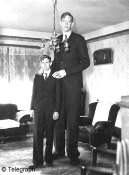 Two brothers stand next to each other. One brother is average height and the other is exceptionally tall.